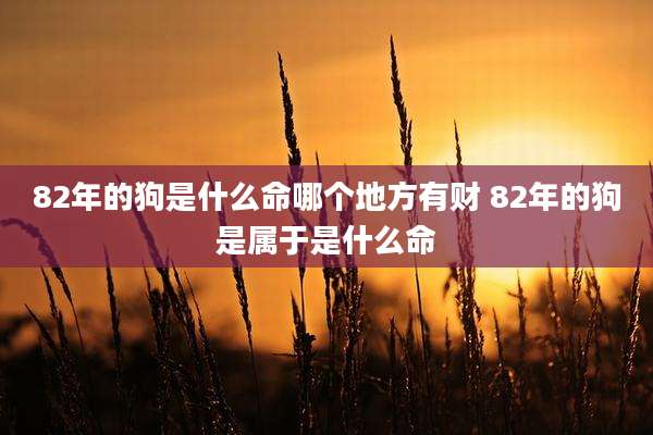 82年的狗是什么命哪个地方有财 82年的狗是属于是什么命