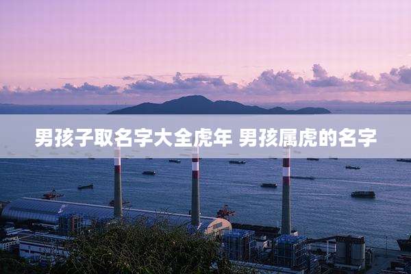 男孩子取名字大全虎年 男孩属虎的名字