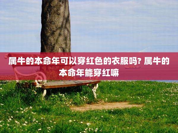 属牛的本命年可以穿红色的衣服吗? 属牛的本命年能穿红嘛