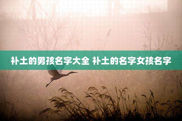 补土的男孩名字大全 补土的名字女孩名字