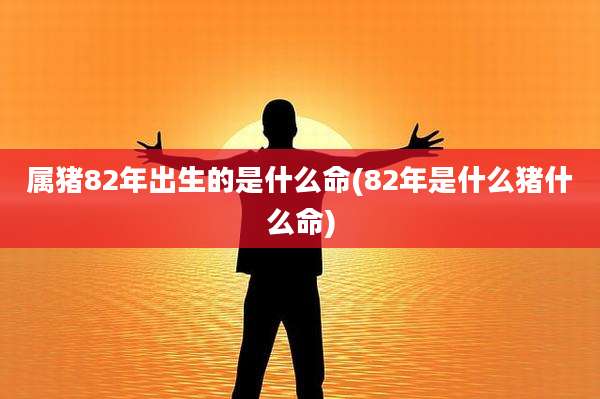 属猪82年出生的是什么命(82年是什么猪什么命)
