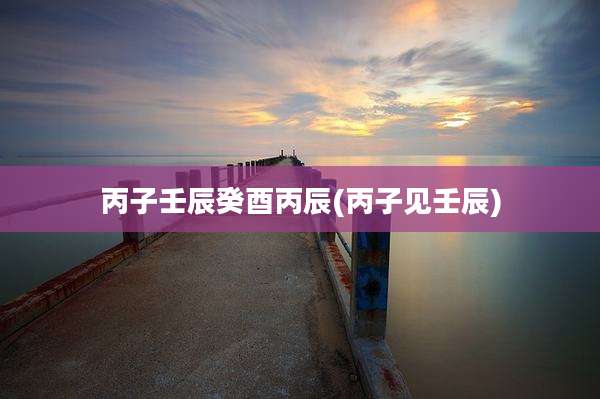 丙子壬辰癸酉丙辰(丙子见壬辰)