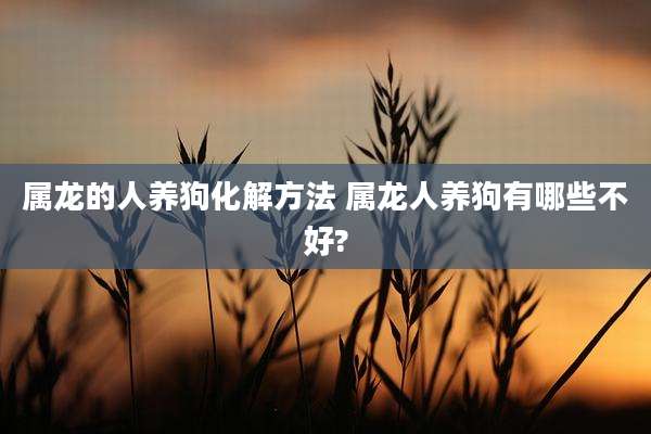 属龙的人养狗化解方法 属龙人养狗有哪些不好?