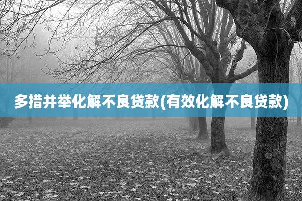多措并举化解不良贷款(有效化解不良贷款)