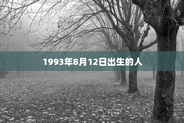 1993年8月12日出生的人