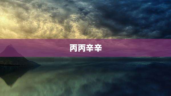 丙丙辛辛