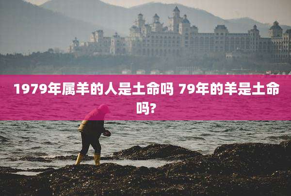 1979年属羊的人是土命吗 79年的羊是土命吗?