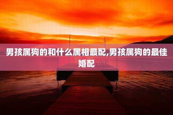 男孩属狗的和什么属相最配,男孩属狗的最佳婚配