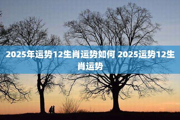 2025年运势12生肖运势如何 2025运势12生肖运势