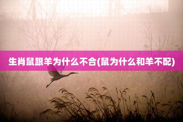生肖鼠跟羊为什么不合(鼠为什么和羊不配)