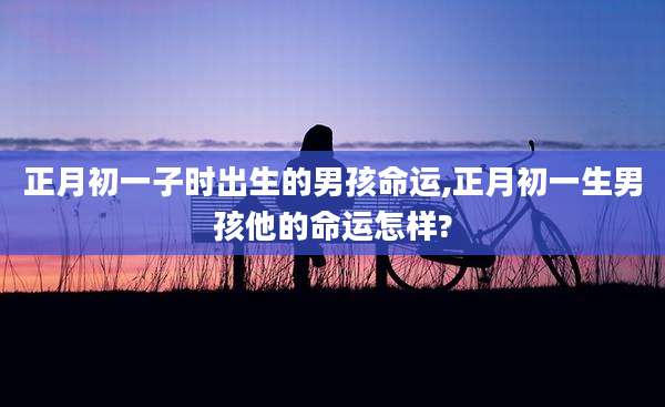 正月初一子时出生的男孩命运,正月初一生男孩他的命运怎样?