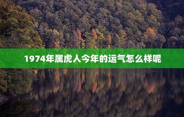 1974年属虎人今年的运气怎么样呢