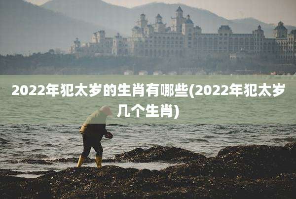 2022年犯太岁的生肖有哪些(2022年犯太岁几个生肖)