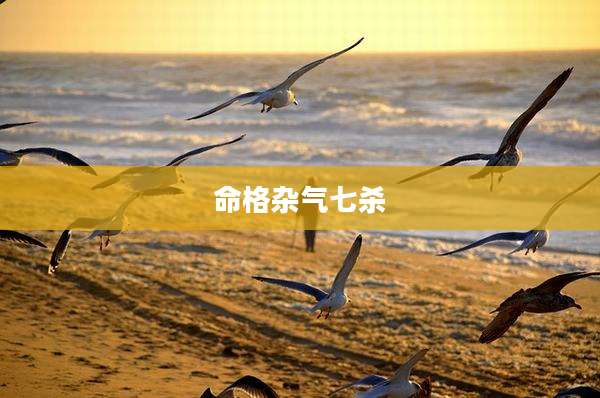 命格杂气七杀