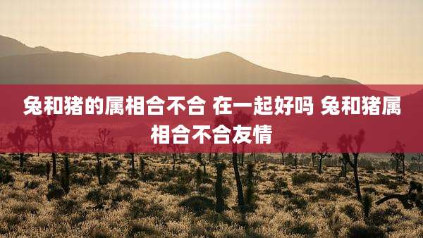 兔和猪的属相合不合 在一起好吗 兔和猪属相合不合友情