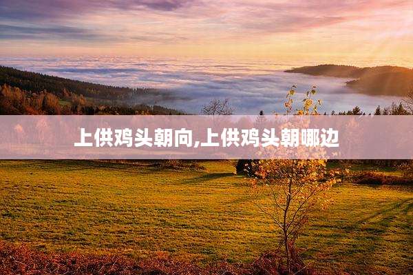 上供鸡头朝向,上供鸡头朝哪边