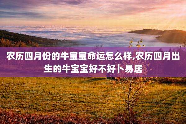 农历四月份的牛宝宝命运怎么样,农历四月出生的牛宝宝好不好卜易居