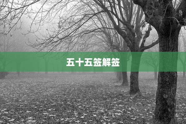 五十五签解签