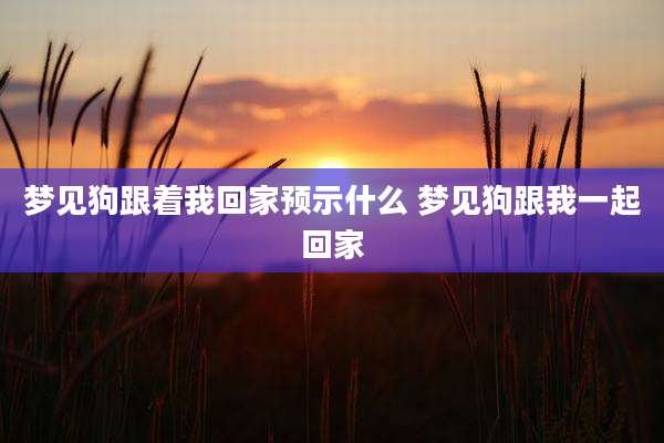梦见狗跟着我回家预示什么 梦见狗跟我一起回家