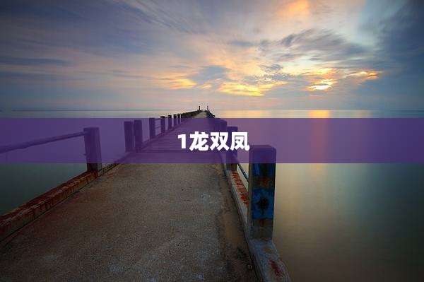 1龙双凤