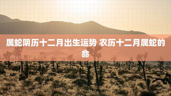 属蛇阴历十二月出生运势 农历十二月属蛇的命