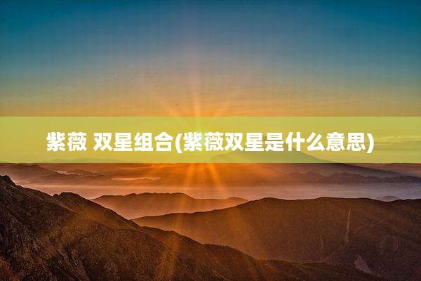 紫薇 双星组合(紫薇双星是什么意思)