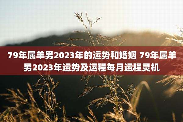 79年属羊男2023年的运势和婚姻 79年属羊男2023年运势及运程每月运程灵机