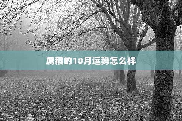 属猴的10月运势怎么样