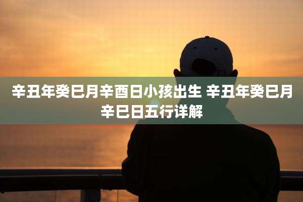 辛丑年癸巳月辛酉日小孩出生 辛丑年癸巳月辛巳日五行详解