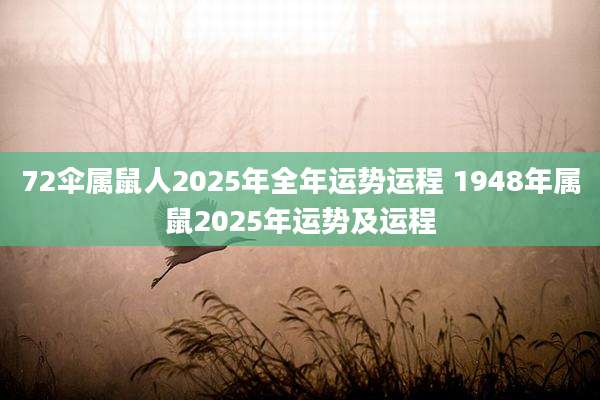 72伞属鼠人2025年全年运势运程 1948年属鼠2025年运势及运程
