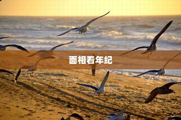 面相看年纪