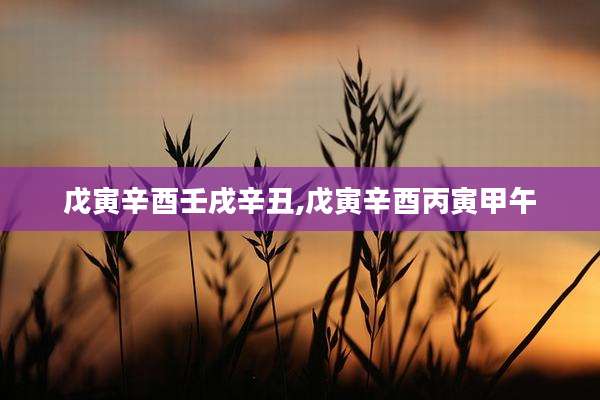 戊寅辛酉壬戌辛丑,戊寅辛酉丙寅甲午