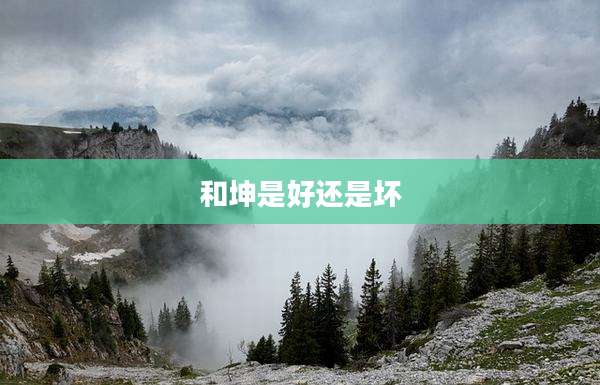 和坤是好还是坏