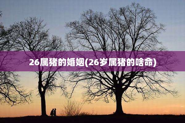26属猪的婚姻(26岁属猪的啥命)