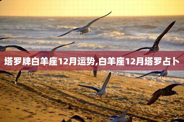 塔罗牌白羊座12月运势,白羊座12月塔罗占卜