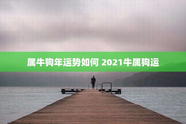 属牛狗年运势如何 2021牛属狗运