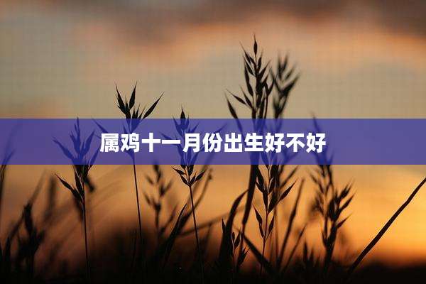 属鸡十一月份出生好不好