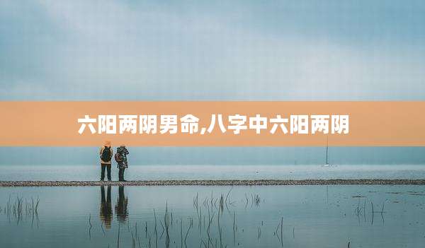 六阳两阴男命,八字中六阳两阴