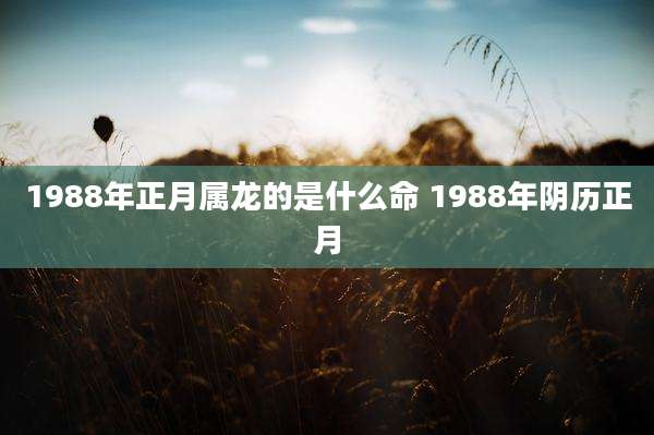 1988年正月属龙的是什么命 1988年阴历正月
