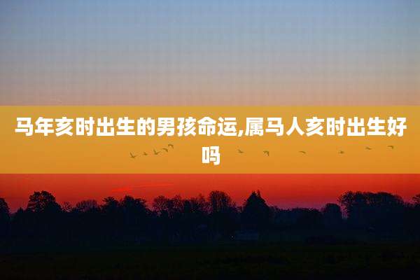 马年亥时出生的男孩命运,属马人亥时出生好吗