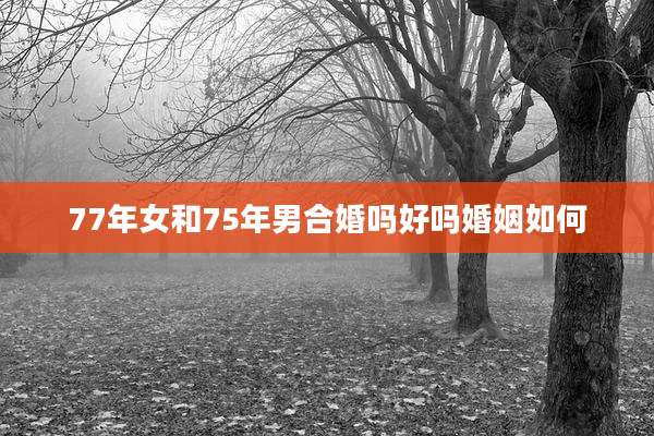 77年女和75年男合婚吗好吗婚姻如何