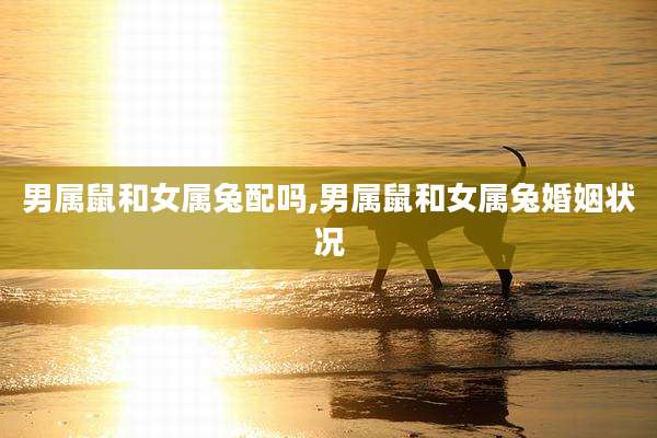 男属鼠和女属兔配吗,男属鼠和女属兔婚姻状况