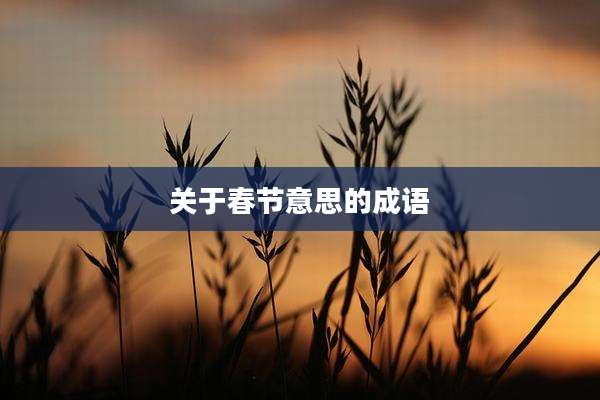 关于春节意思的成语