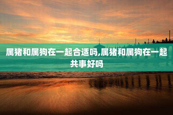 属猪和属狗在一起合适吗,属猪和属狗在一起共事好吗