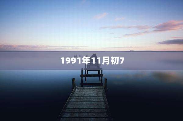 1991年11月初7