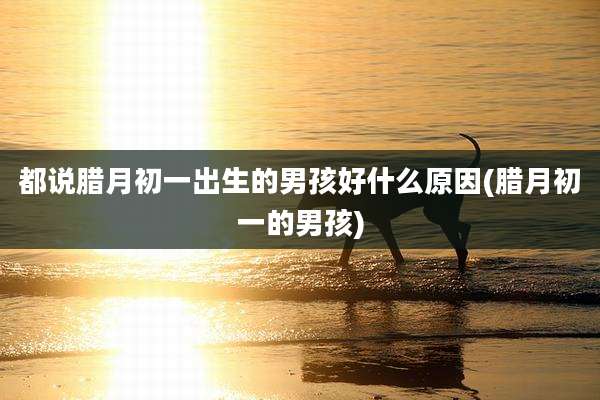 都说腊月初一出生的男孩好什么原因(腊月初一的男孩)