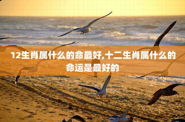 12生肖属什么的命最好,十二生肖属什么的命运是最好的
