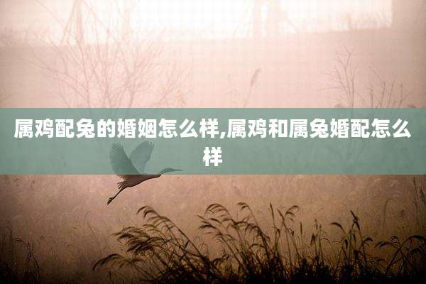 属鸡配兔的婚姻怎么样,属鸡和属兔婚配怎么样