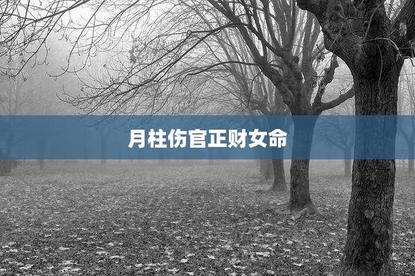 月柱伤官正财女命