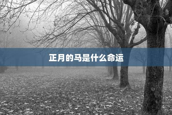 正月的马是什么命运